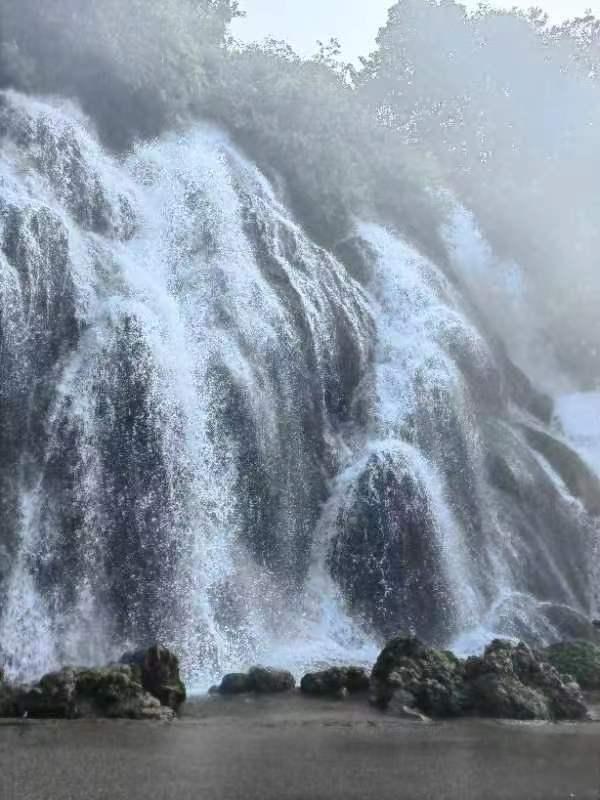 春雨直播app