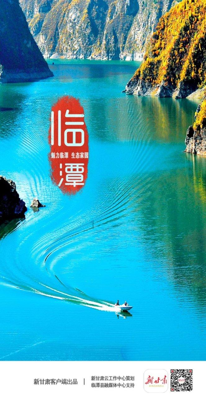 88影视
