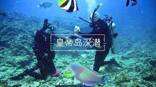 蓝狐视频