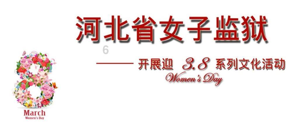 88影视